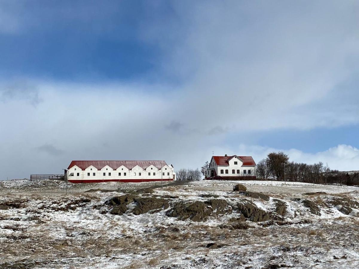 Helluland Guesthouse Saudarkrokur Zewnętrze zdjęcie