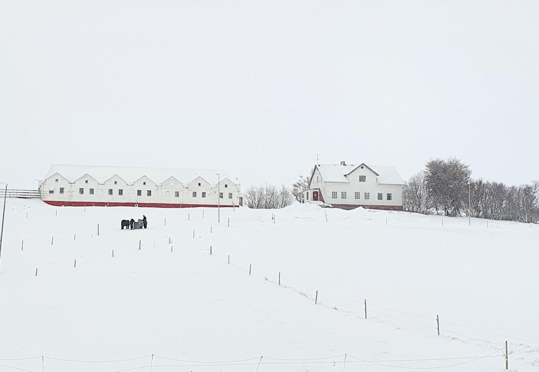 Helluland Guesthouse Saudarkrokur Zewnętrze zdjęcie
